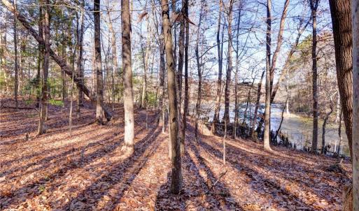 Photo #7 of Lot 24 Ennisdale Drive, Smithfield, Virginia 5.1 acres
