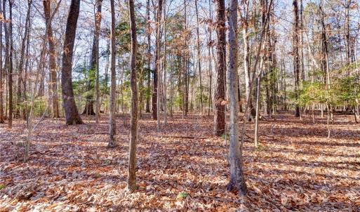 Photo #6 of Lot 24 Ennisdale Drive, Smithfield, Virginia 5.1 acres