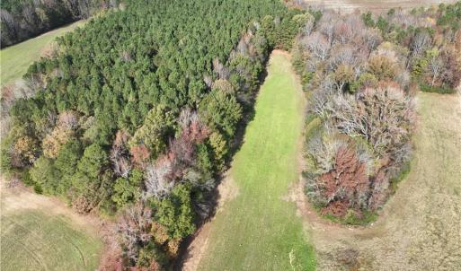 Photo #13 of 108 Purdy Road, Emporia, Virginia 108.1 acres