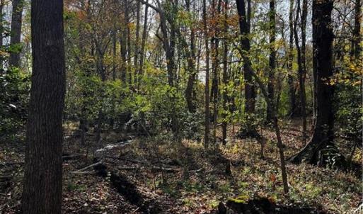 Photo #16 of 108 Purdy Road, Emporia, Virginia 108.1 acres