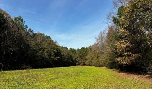 Photo #18 of 108 Purdy Road, Emporia, Virginia 108.1 acres