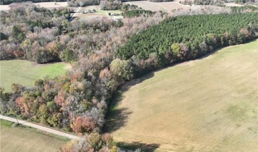 Photo #5 of 108 Purdy Road, Emporia, Virginia 108.1 acres