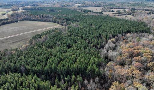 Photo #9 of 108 Purdy Road, Emporia, Virginia 108.1 acres