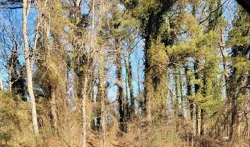 Photo #1 of 950 Portsmouth Boulevard, Suffolk, Virginia 4.1 acres