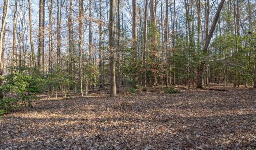 Photo #13 of 2.5AC Botetourt Avenue, Gloucester, Virginia 2.5 acres