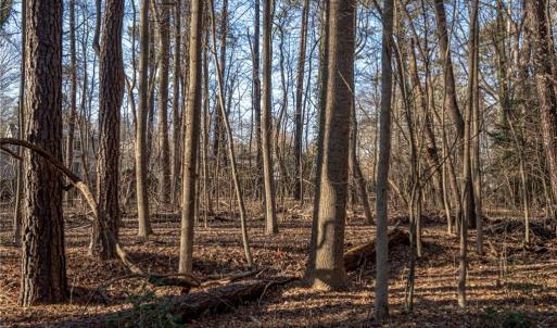 Photo #15 of 2.5AC Botetourt Avenue, Gloucester, Virginia 2.5 acres