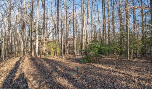 Photo #3 of 2.5AC Botetourt Avenue, Gloucester, Virginia 2.5 acres