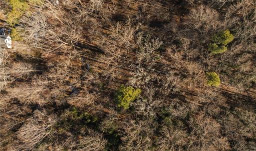 Photo #38 of 2.5AC Botetourt Avenue, Gloucester, Virginia 2.5 acres