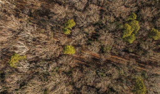 Photo #39 of 2.5AC Botetourt Avenue, Gloucester, Virginia 2.5 acres