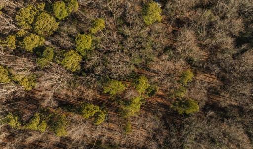 Photo #41 of 2.5AC Botetourt Avenue, Gloucester, Virginia 2.5 acres