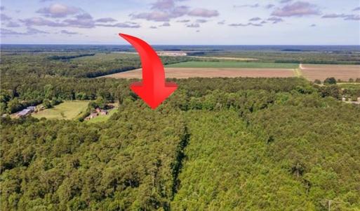 Photo #4 of 8 Shillelagh Road, Chesapeake, Virginia 11.5 acres