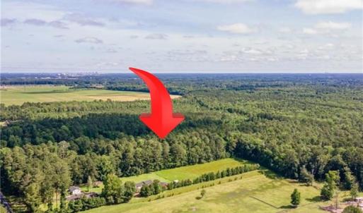 Photo #6 of 8 Shillelagh Road, Chesapeake, Virginia 11.5 acres