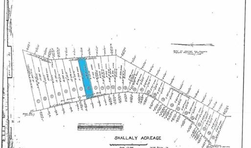 Photo #8 of 8 Shillelagh Road, Chesapeake, Virginia 11.5 acres