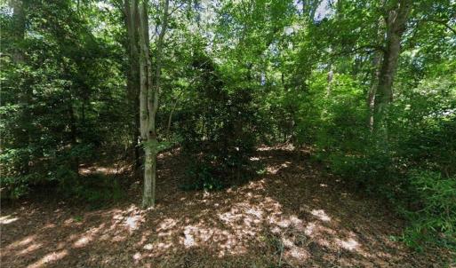 Photo #1 of 162 Beech Tree Trail, Southern Shores, North Carolina 0.7 acres