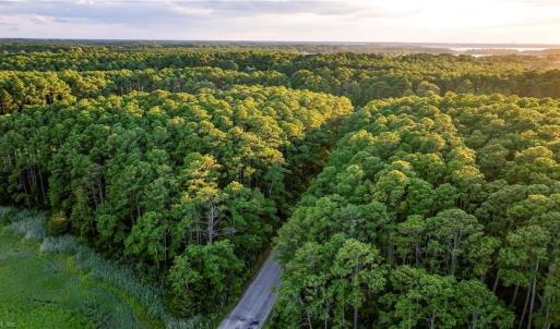 Photo #10 of 49 Bells Island Drive, Hampton, Virginia 11.6 acres