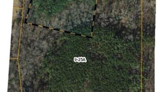 Photo #1 of 20+/- Acres Dwight Lane, Emporia, Virginia 20.0 acres