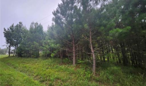 Photo #3 of .50+AC Splendors Gate Subd Lot 8, Hurt, Virginia 1.0 acres