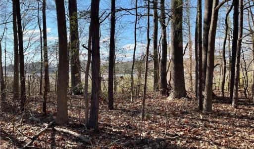 323 Vista Point Drive. Hampton VA. 23666. Western view from property.