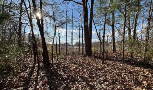 323 Vista Point Drive. Hampton VA. 23666.  Western view from property.