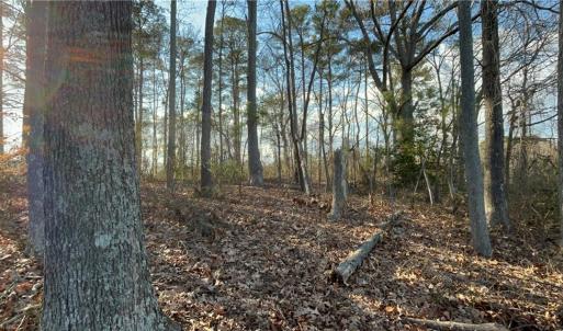 323 Vista Point Drive. Hampton VA. 23666. View of part of the likely home site area.