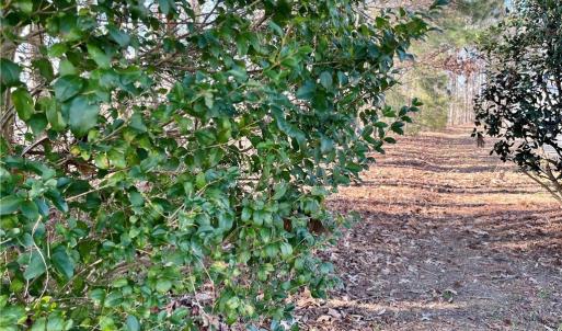 323 Vista Point Drive. Hampton VA. 23666. Lot frontage/entrance.