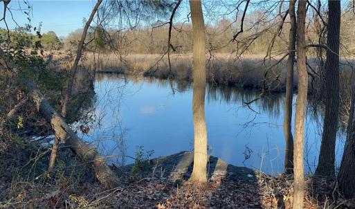 323 Vista Point Drive. Hampton VA. 23666. Eastern view from property. Great place for a floating dock.