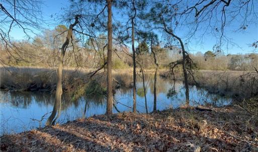 323 Vista Point Drive. Hampton VA. 23666. Eastern view from property.