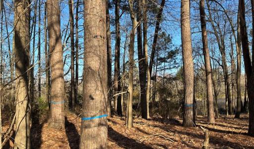 323 Vista Point Drive. Hampton VA. 23666.