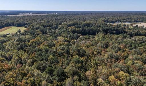 Photo #2 of parcel Seven Eleven Road, Chesapeake, Virginia 3.0 acres