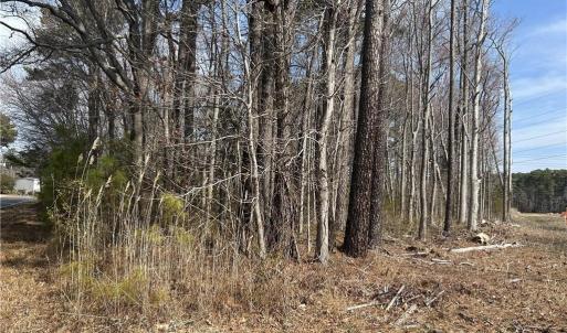 Photo #4 of 2402 Wolf Trap Road, Yorktown, Virginia 3.2 acres