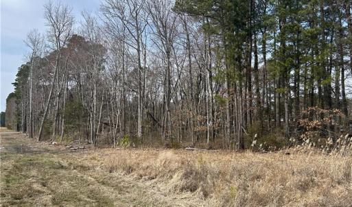 Photo #6 of 2402 Wolf Trap Road, Yorktown, Virginia 3.2 acres