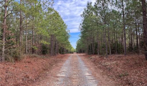 Photo #2 of 104 Ac Pope Swamp Trail, Windsor, Virginia 104.0 acres