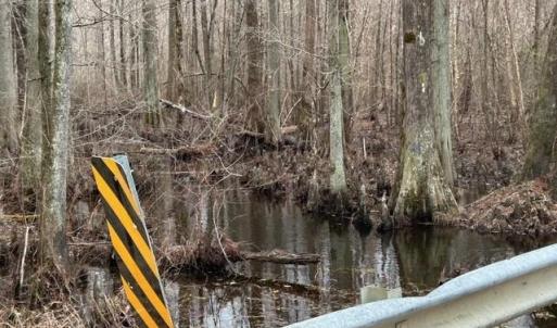 Photo #14 of 104 Ac Pope Swamp Trail, Windsor, Virginia 104.0 acres