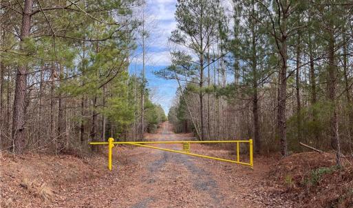 Photo #3 of 104 Ac Pope Swamp Trail, Windsor, Virginia 104.0 acres