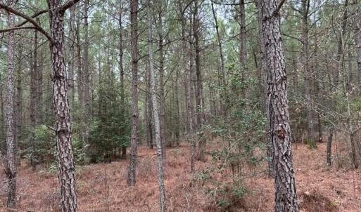 Photo #22 of 104 Ac Pope Swamp Trail, Windsor, Virginia 104.0 acres