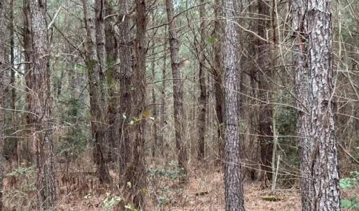 Photo #25 of 104 Ac Pope Swamp Trail, Windsor, Virginia 104.0 acres