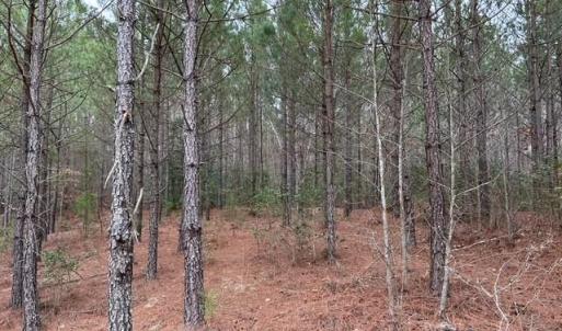 Photo #29 of 104 Ac Pope Swamp Trail, Windsor, Virginia 104.0 acres