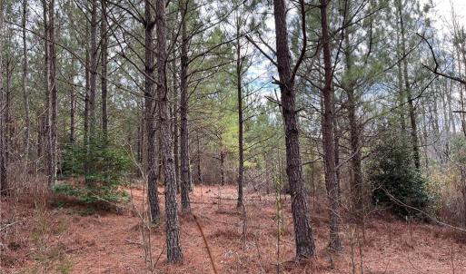 Photo #4 of 104 Ac Pope Swamp Trail, Windsor, Virginia 104.0 acres