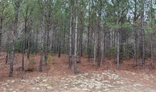 Photo #33 of 104 Ac Pope Swamp Trail, Windsor, Virginia 104.0 acres