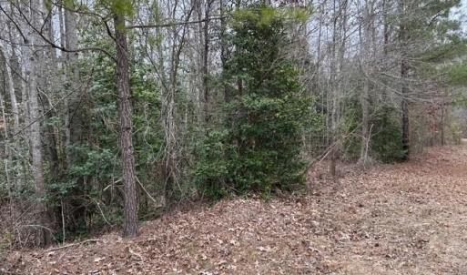 Photo #34 of 104 Ac Pope Swamp Trail, Windsor, Virginia 104.0 acres