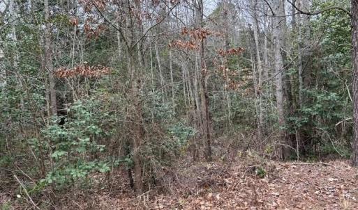 Photo #35 of 104 Ac Pope Swamp Trail, Windsor, Virginia 104.0 acres