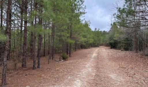 Photo #37 of 104 Ac Pope Swamp Trail, Windsor, Virginia 104.0 acres