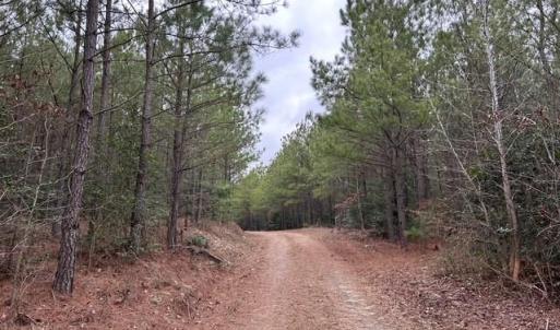 Photo #5 of 104 Ac Pope Swamp Trail, Windsor, Virginia 104.0 acres