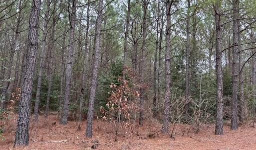 Photo #41 of 104 Ac Pope Swamp Trail, Windsor, Virginia 104.0 acres