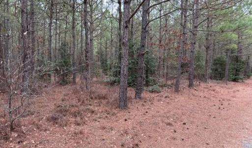 Photo #43 of 104 Ac Pope Swamp Trail, Windsor, Virginia 104.0 acres