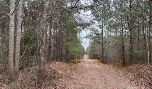 Photo #44 of 104 Ac Pope Swamp Trail, Windsor, Virginia 104.0 acres