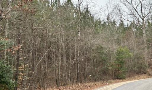 Photo #46 of 104 Ac Pope Swamp Trail, Windsor, Virginia 104.0 acres
