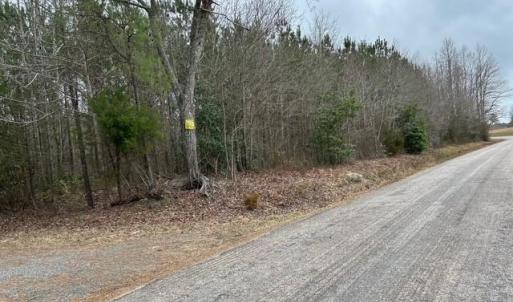Photo #47 of 104 Ac Pope Swamp Trail, Windsor, Virginia 104.0 acres