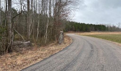 Photo #7 of 104 Ac Pope Swamp Trail, Windsor, Virginia 104.0 acres