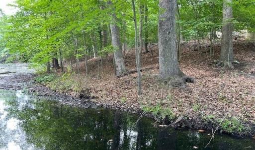 Photo #12 of 917 Lacon Drive, Newport News, Virginia 0.9 acres